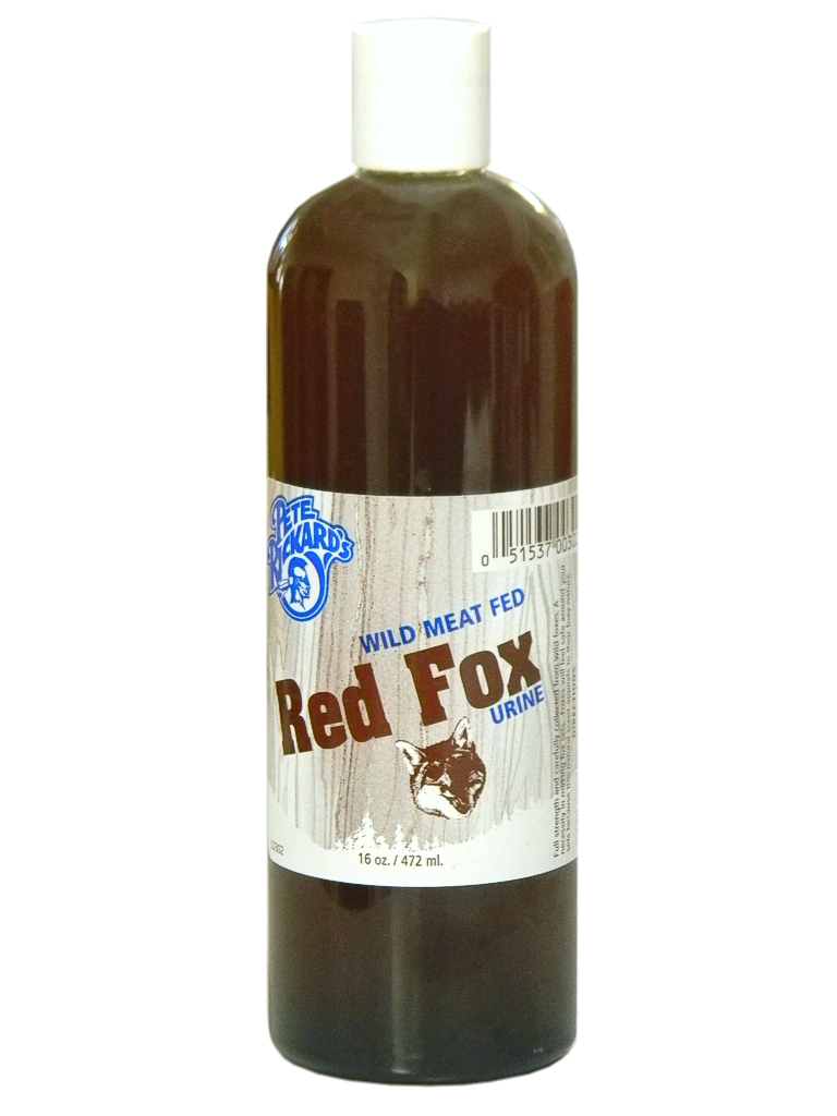 Red Fox Urine