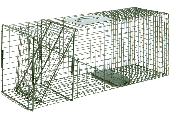 Duke Cage Traps