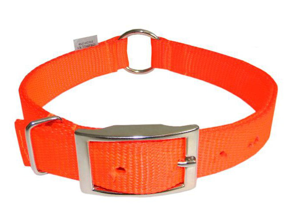 Safety Orange Dog Collar