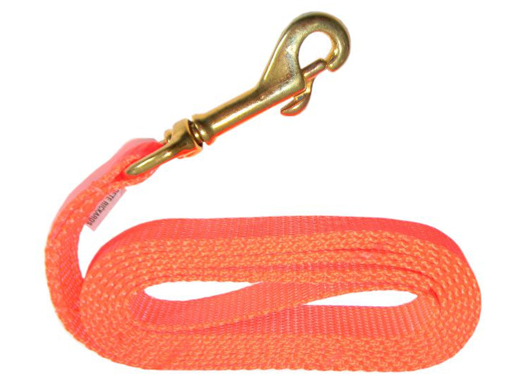 Puppy Leads