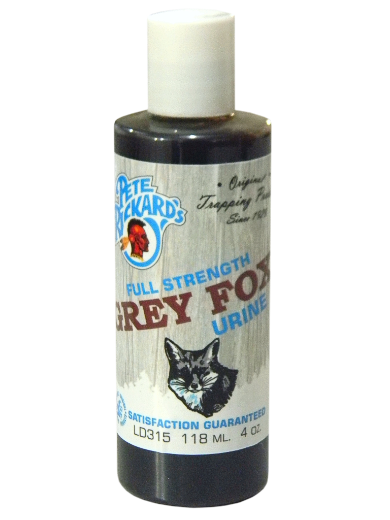 Grey Fox Urine