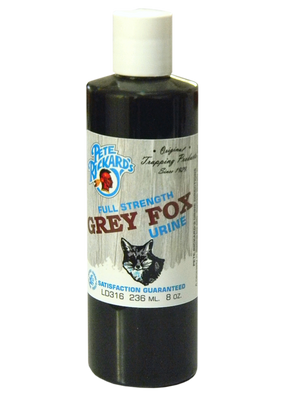 Grey Fox Urine