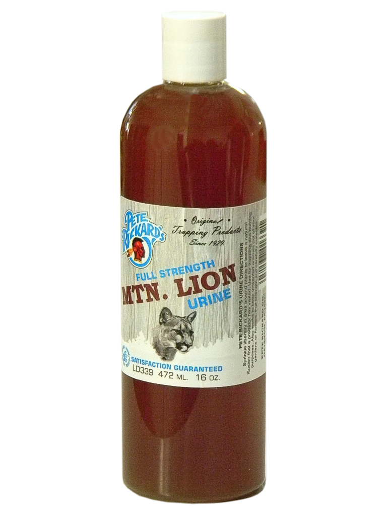 Mountain Lion Urine