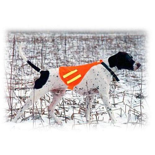 Quick Spot Dog Safety Vest, DD977