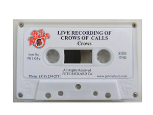 Live Recording of Crow Calls
